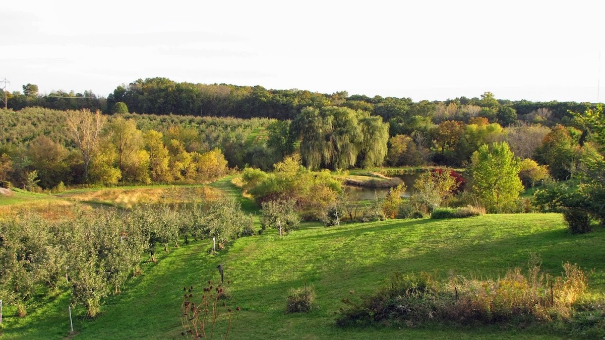 Wilson's Orchard